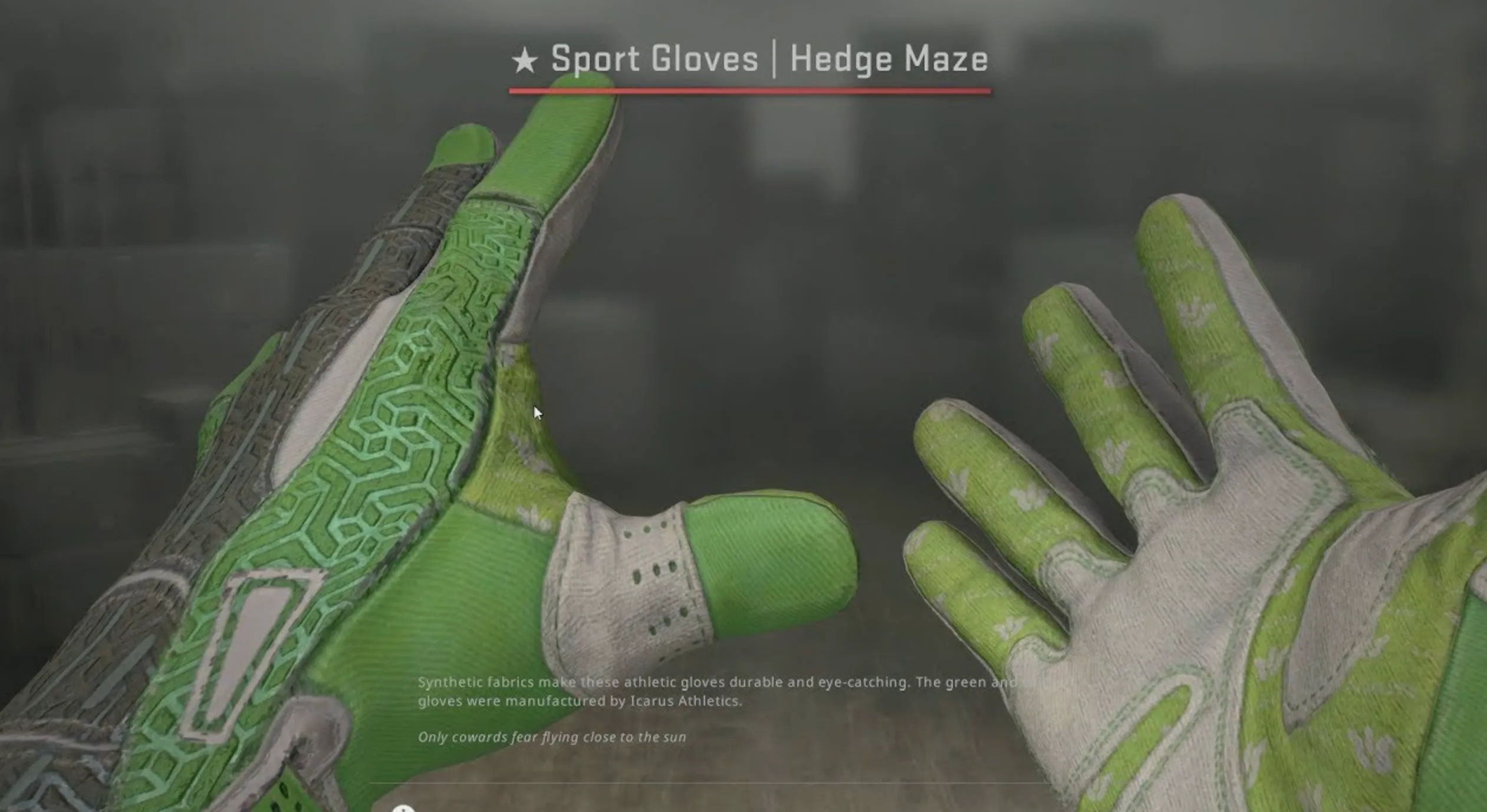 Sport Gloves Hedge Maze and gamma doppler knife